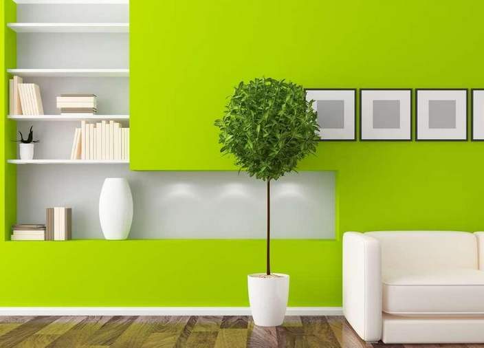 20201161036354281451.jpg 20201161036354281451.jpg